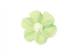 kwiaty-gwiazdki-pistacjowy