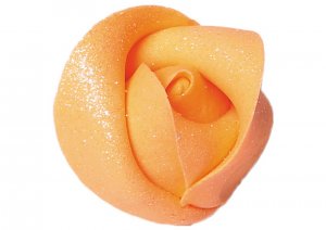 roza-srednia-lososiowa