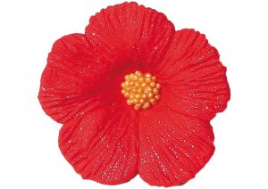 hibiskuks-sredni-czerwony