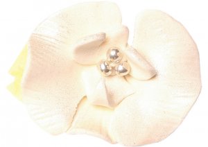 orchidea-ecru