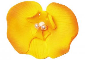 orchidea-herbaciana
