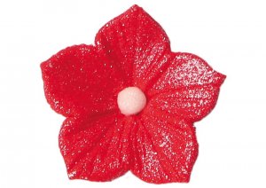 petunia-czerwona
