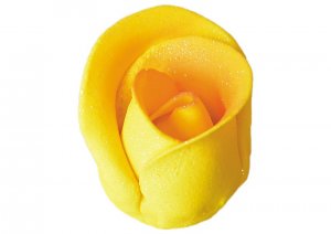 roze-agaty-zolta